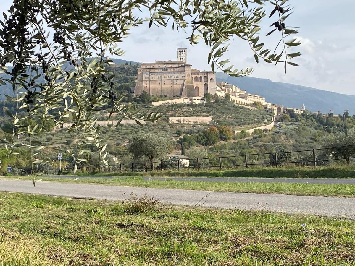 Agriturismo Il Girasole Asís Exterior foto
