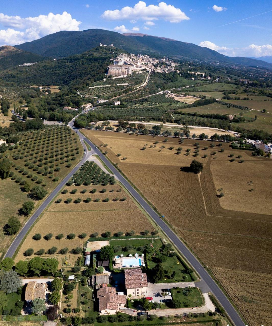 Agriturismo Il Girasole Asís Exterior foto