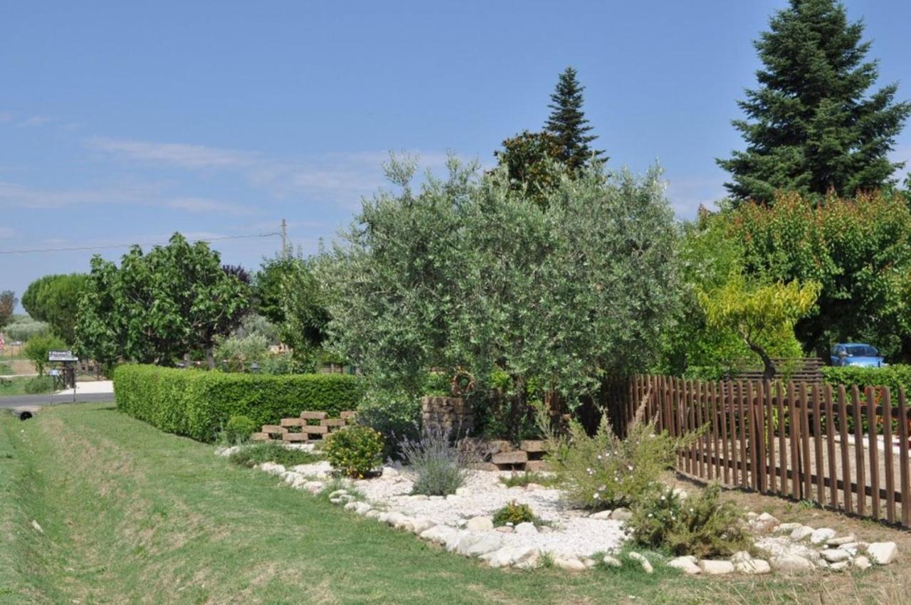 Agriturismo Il Girasole Asís Exterior foto
